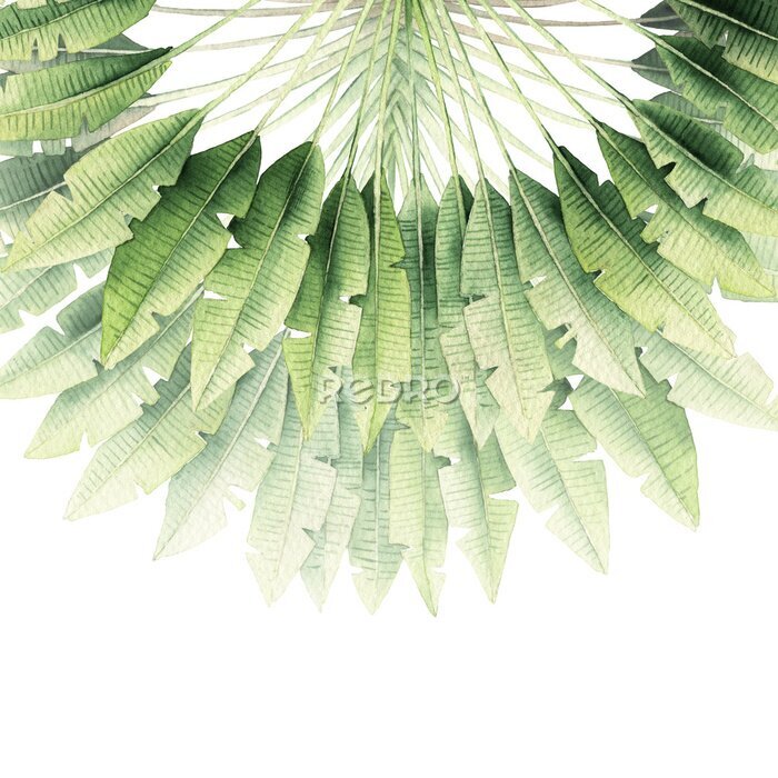 Sticker Groene waaier van palmbladeren