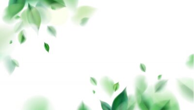 Sticker Groene wazige bladeren op een witte achtergrond