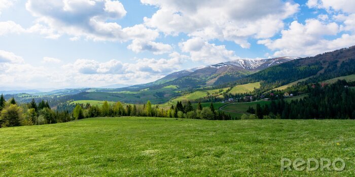Sticker Groene weide in de morgen