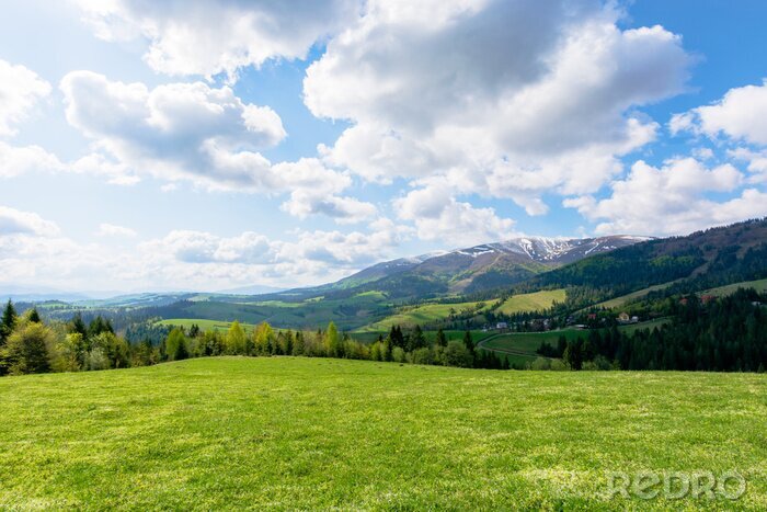 Sticker Groene weide op een heuvel