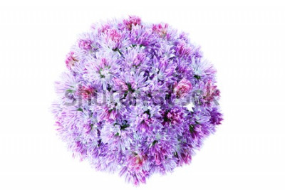 Sticker Grote bloem close-up