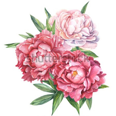 Sticker Grote bloemen met drie knoppen