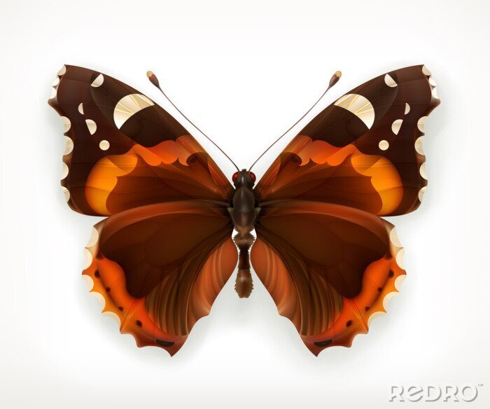 Sticker Grote bruine vlinder