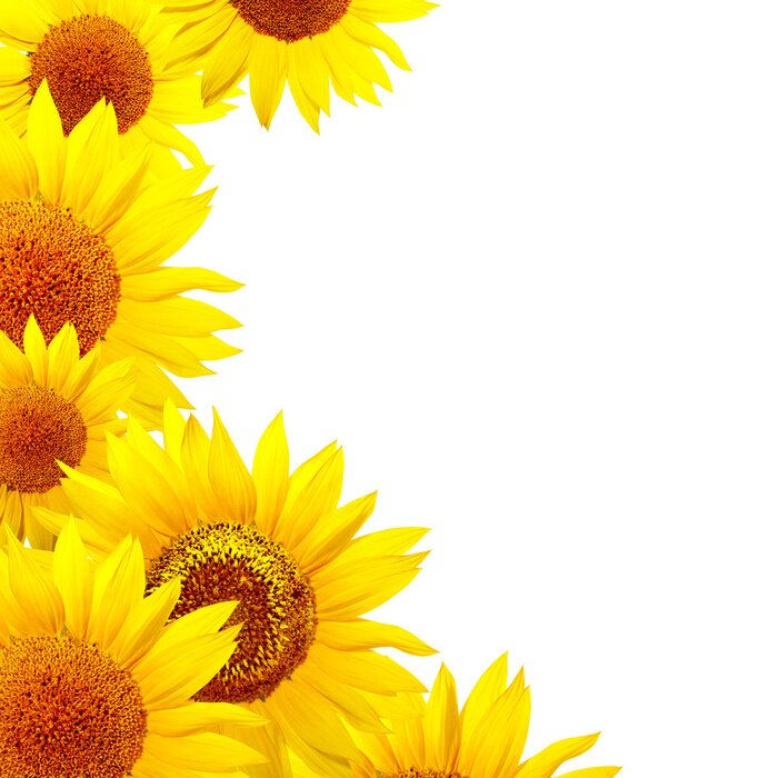 Sticker Grote gele bloemen