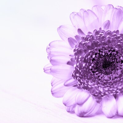 Sticker Grote paarse bloem