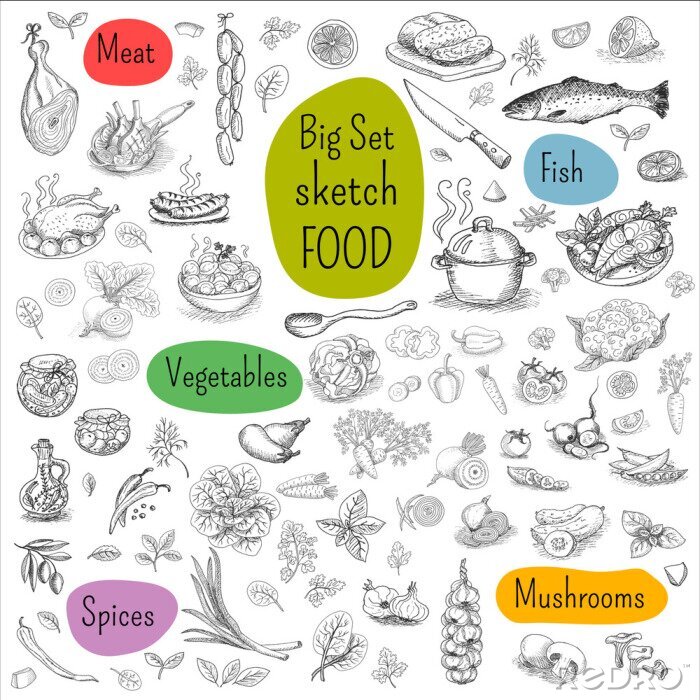 Sticker Grote reeks schets opgesteld Food, witte achtergrond. Vlees, vis, groenten, paddestoelen, specerijen. Hand getrokken vector illustratie