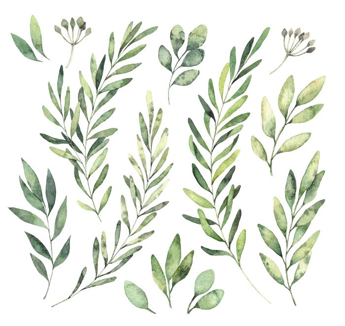 Sticker Hand drawn watercolor illustrations. Botanical clipart. Set of Green leaves, herbs and branches. Floral Design elements. Perfect for wedding invitations, greeting cards, blogs, posters and more