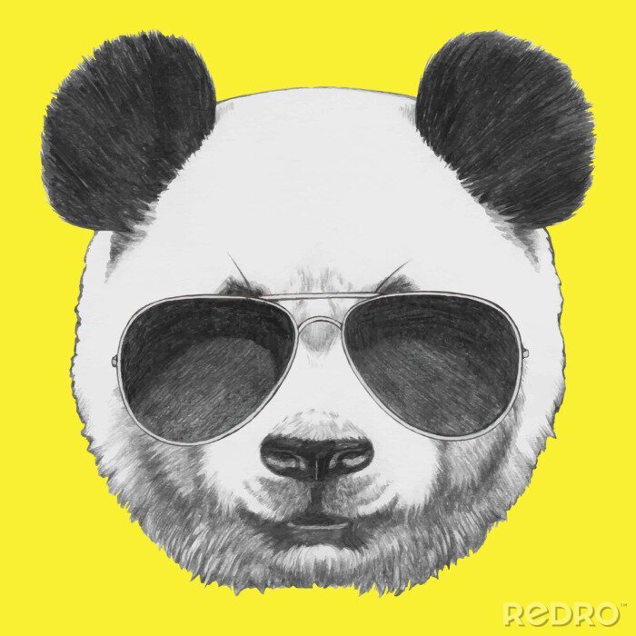 Sticker Hand getrokken portret van Panda met zonnebril. Vector geïsoleerde elementen.