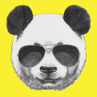 Sticker Hand getrokken portret van Panda met zonnebril. Vector geïsoleerde elementen.