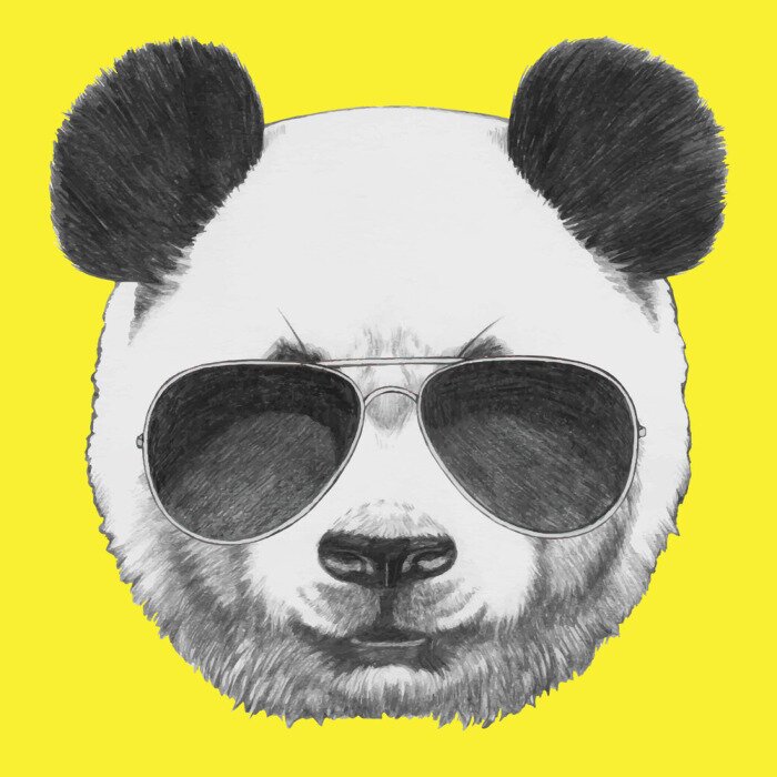 Sticker Hand getrokken portret van Panda met zonnebril. Vector geïsoleerde elementen.
