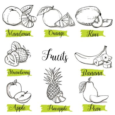 Sticker Hand getrokken schets stijl fruit en bessen. Mandarijn, sinaasappel, kiwi, aardbei, banaan, appel, ananas en peer. Organisch fruit met blad, de vector geïsoleerde inzameling van krabbelillustraties.