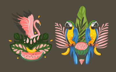 Sticker Hand getrokken vector abstracte cartoon zomertijd grafische decoratie illustraties teken verzameling instellen met exotische tropische regenwoud roze flamingo en Parrot Macaw vogels geïsoleerd op zwar