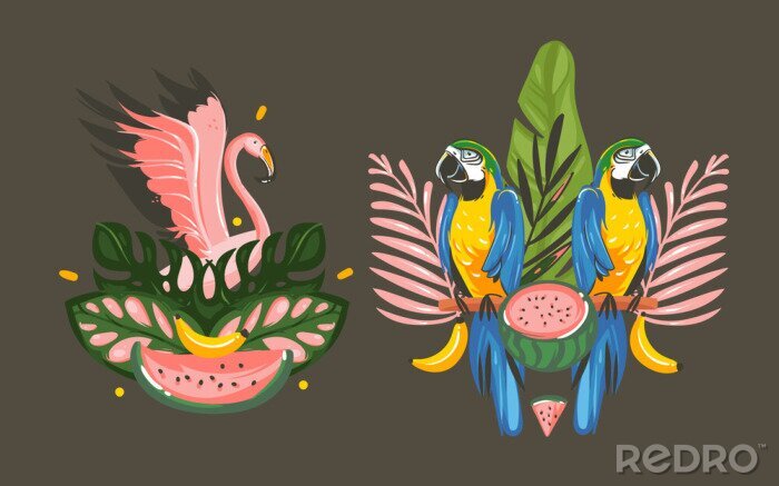 Sticker Hand getrokken vector abstracte cartoon zomertijd grafische decoratie illustraties teken verzameling instellen met exotische tropische regenwoud roze flamingo en Parrot Macaw vogels geïsoleerd op zwar
