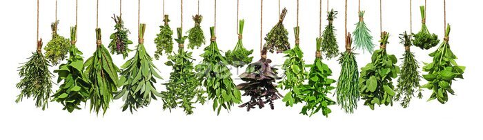 Sticker Hangende bosjes kruiden op een witte achtergrond