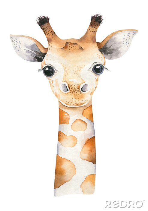 Sticker Het hoofd van een jonge giraf