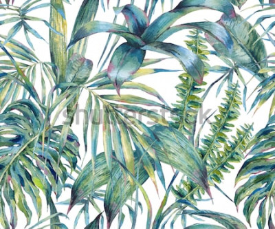 Sticker Het natuurlijke naadloze patroon van de bladeren exotische waterverf, groene tropische bladeren, varen, dichte wildernis, Hand geschilderde botanische de zomerillustratie op witte achtergrond
