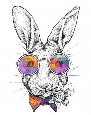 Hipster konijn met gekleurde bril
