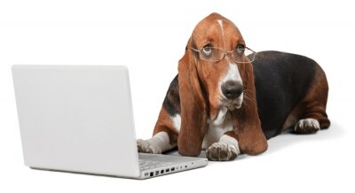 Sticker Hond, Computer, huisdieren.