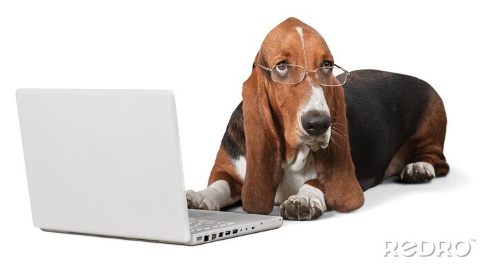 Sticker Hond, Computer, huisdieren.