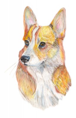 Sticker hond Corgi / Hond handgeschilderde aquarel illustratie op een witte achtergrond