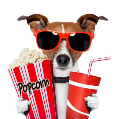 Sticker hond kijken van een film