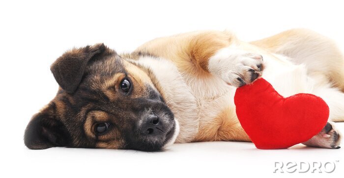 Sticker Hond met hart.