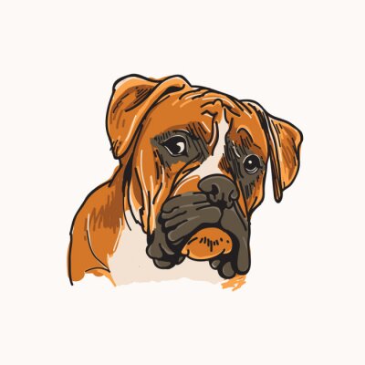 Sticker Hond van de bokser Vector Illustration