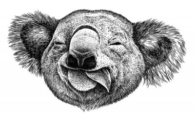 Sticker Hoofd van een koala die op een eucalyptusblad kauwt