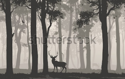 Sticker Horizontal seamless background with deciduous forest, birds and deer. Vector illustration