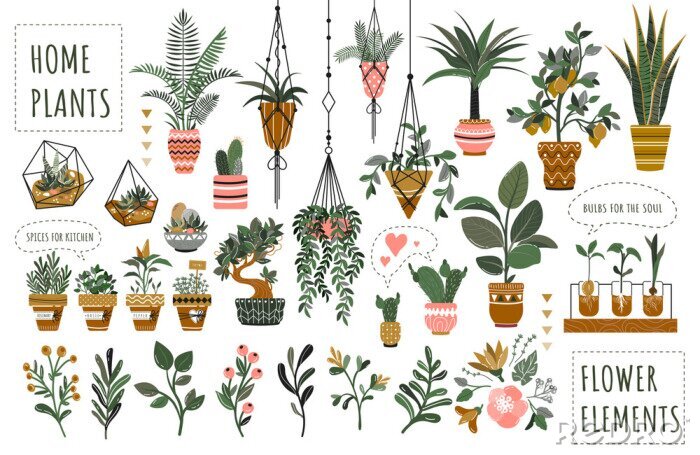 Sticker Houseplants flowerpots isolated icons vector illustration. Decorative home plants, botanical icons and stickers. Flower pots and kitchen herbs, hanging plants, floral decorations collection.