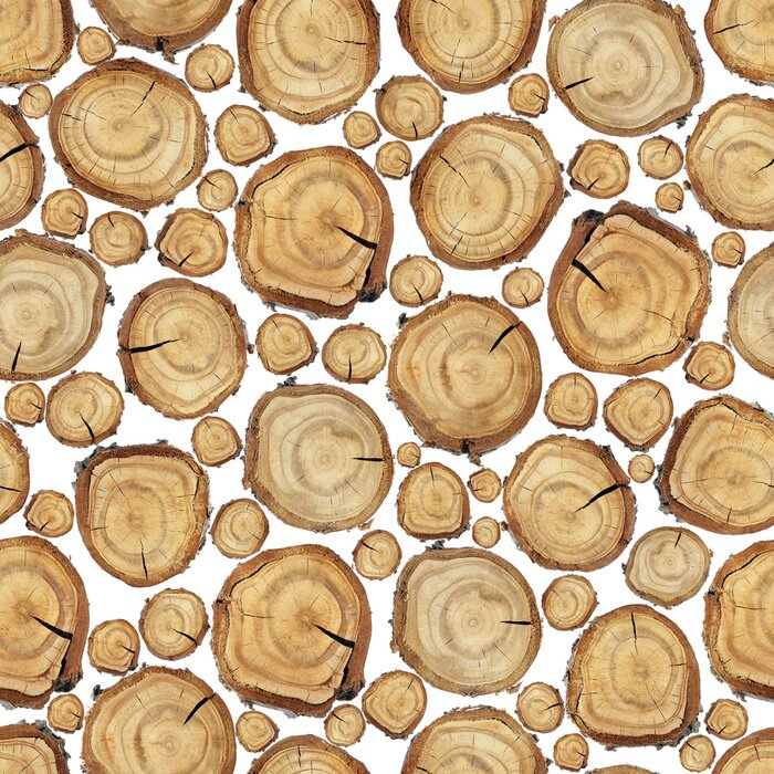 Sticker Hout slice seamless