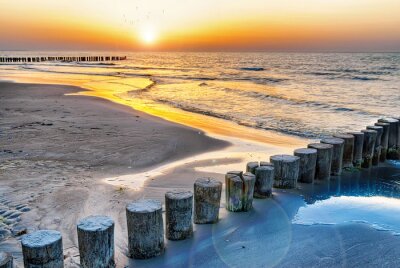 Houten golfbreker bij de zee