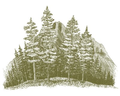 Sticker Houtsnede Mountain Drawing