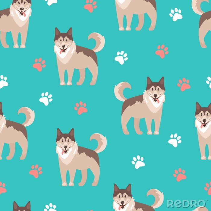Sticker Husky honden op turquoise achtergrond