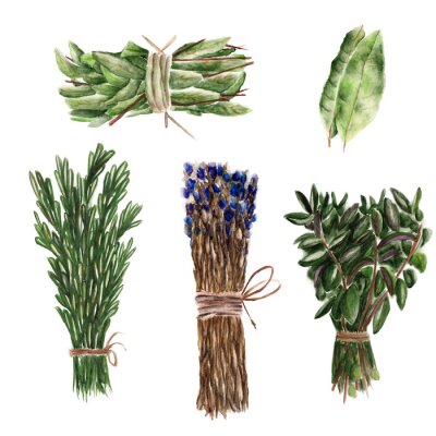 Sticker Illustratie van de waterverf