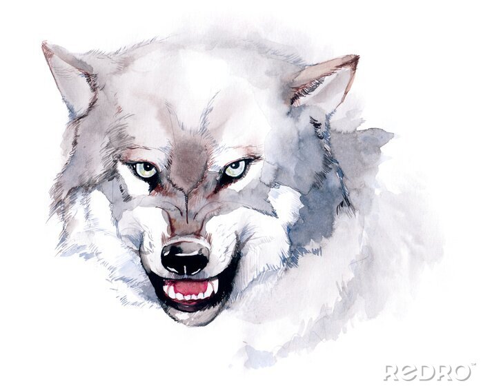 Sticker Illustratie van een wolf in aquarel
