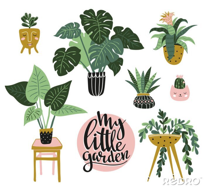 Sticker Illustratie van verschillende soorten kamerplanten met tekst