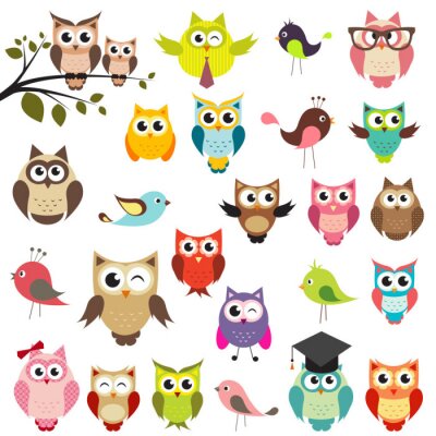 Sticker Illustraties van kleurrijke uilen en andere vogels