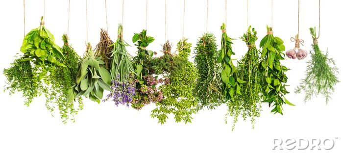 Sticker Ingrediënten