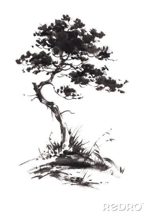 Sticker Inkt illustratie van de groeiende den boom met wat gras. Sumi-e, u-sin, gohua schilderen stijl. Silhouet gemaakt van zwarte penseelstreken op een witte achtergrond.