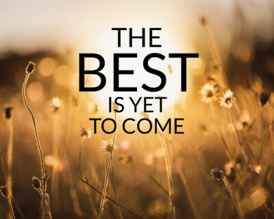 Sticker Inspirational and motivation quote on meadow in field of nature background with vintage filter.