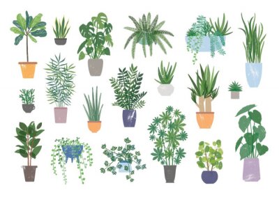 Sticker Inzameling van decoratieve die houseplants op witte achtergrond wordt geïsoleerd. Bundel van trendy planten die groeien in potten of plantenbakken. Set van prachtige natuurlijke huisdecoraties. Vlakke