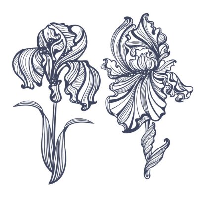 Sticker Irissen Art Nouveau