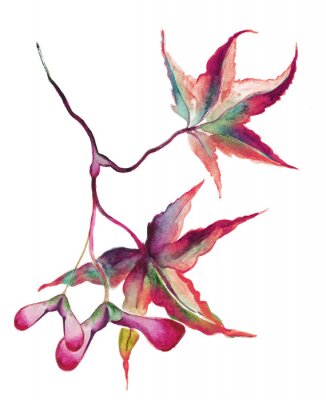 Sticker Japanse esdoorn bladeren met Zaden