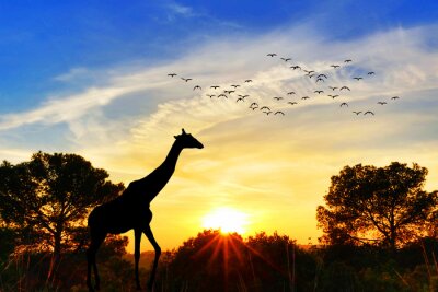 Sticker Jirafa en el paisaje