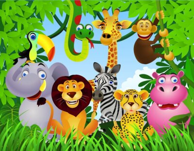 Jungle dieren