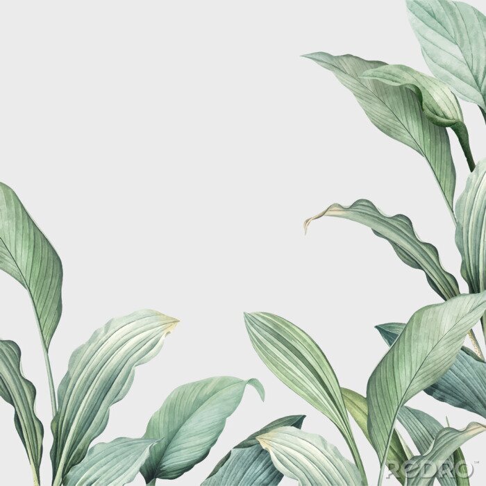 Sticker Jungle en bladeren geschilderd in aquarel