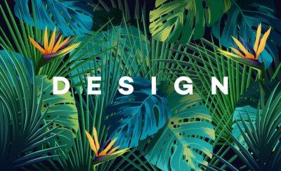 Jungle en grafische planten