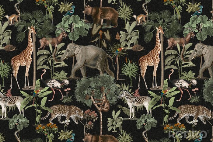 Sticker Jungle pattern background wild animals