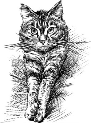 Sticker Katten Schets van een kat met naar voren gestrekte poten